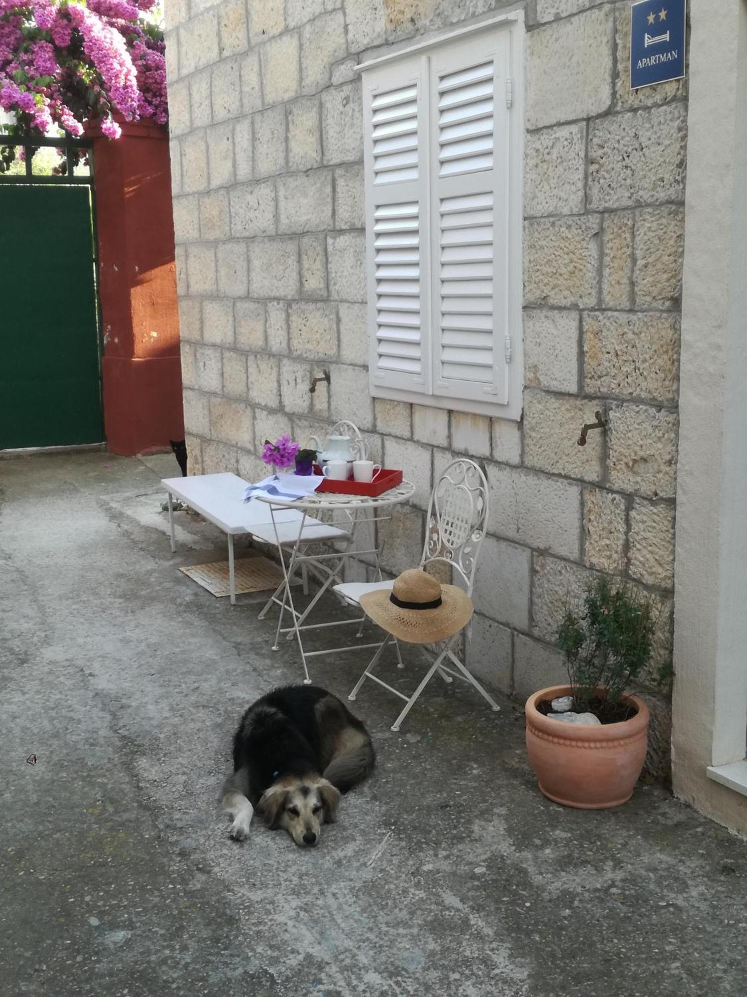 Holiday Home Isabella Vis Luaran gambar